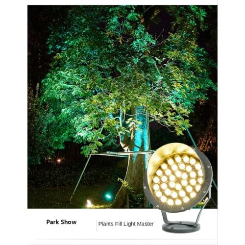 Zhenlong Garden Lights