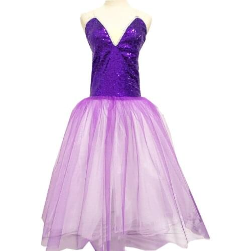 Purple Ballet Dress For Girls Swan Lake Tutu Skirts Belly Dance Costumes Princess Tutu Pancake Dancewear