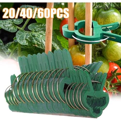 20pcs Grafting Clips Greenhouse Clamp Stand Plastic Plant Clip Fastener Bracket Fixed Seed Stem Support Plant Grafting