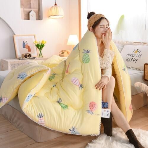 Winter Super Warm Cashmere Quilt Thick Flannel and Lamb Double-faced Velvet Wool Blankets Quilts 5kg Comforter for Bed