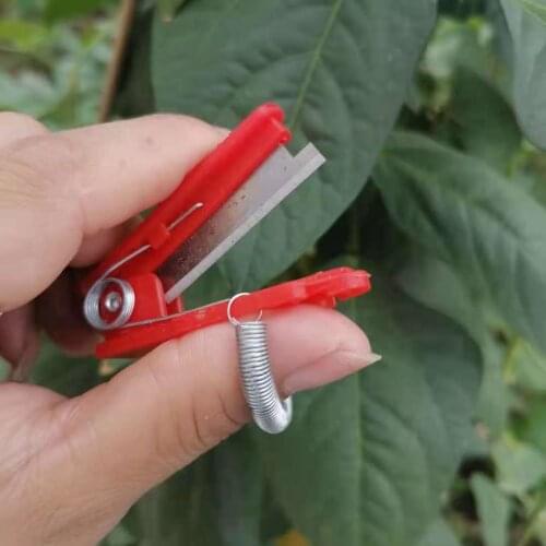 Секаторы QIAONONGFU China At AliExpress