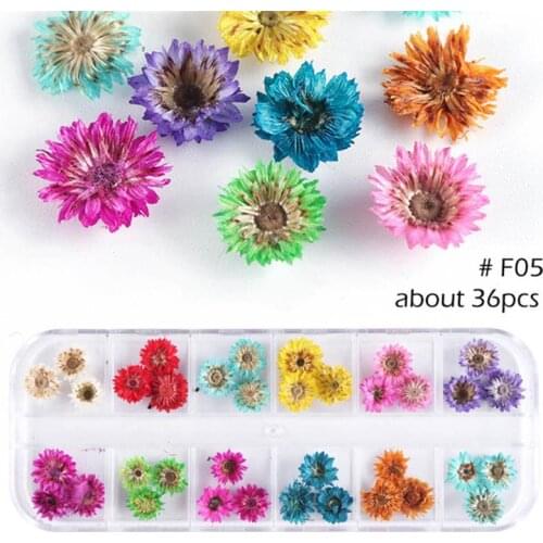 DIY Nail Art Flower Natural Creative Manicure Decor Pressed Flower Craft Flower Summer Style Manicure Tool for Women Girls