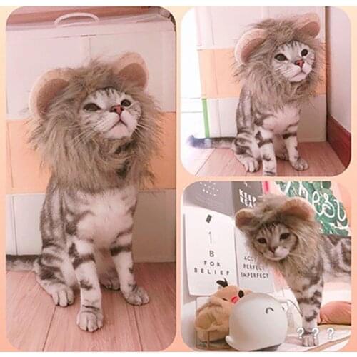 Pet Dog And Cat Wig Lion Headdress Hat Dog Accessories Birthday For Holiday Cosplay Cute Wigs