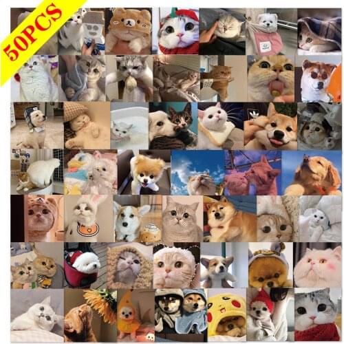 50pcs Kawaii Cat Stickers Expression Stickers Laptop Guitar Luggage Phone Waterproof Graffiti Sticker Decal Kid Classic Toys