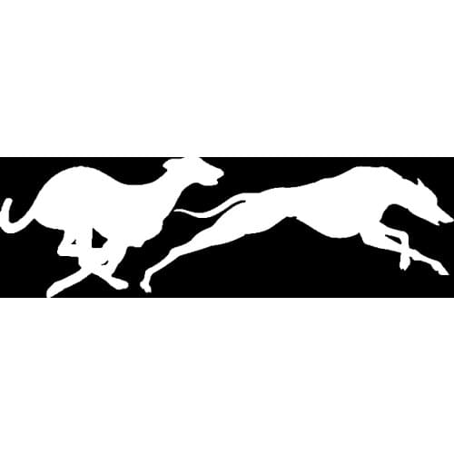 Fashion Racing Greyhounds Vinyl Car Window Sticker Decal Animal Motorcycle 17cm*5cm