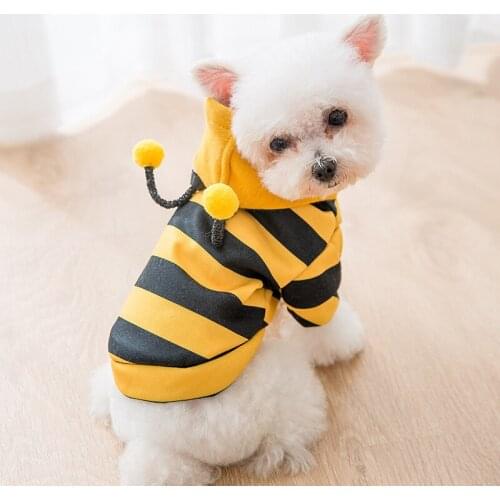 Hot Sale Cute cat clothes bee styles with lovely wing pet cat clothes pet dog clothes dog clothes different size fit (XS-XXL)