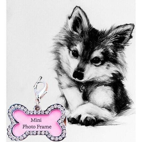 POP ITEM! Bone Shape Pets ID Name Tag Address Pendant Dog Puppy Collar Anti-Lost Card Habitat Decor Dog Tag