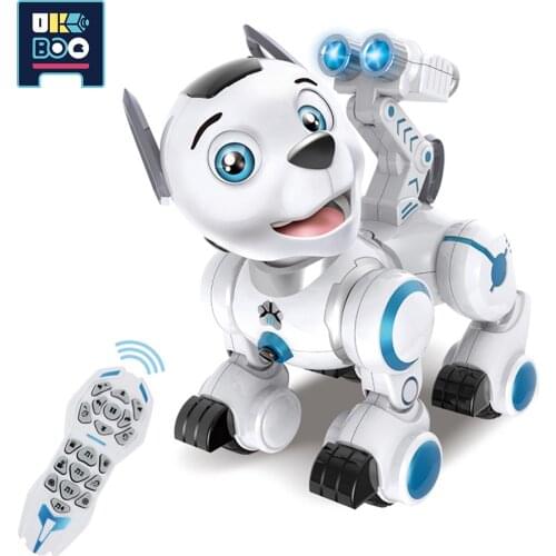 HUIQIBAO TOYS Radio Controlled Robots