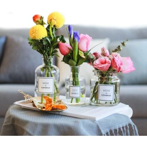 Ins Glass Vase Home Decoration Flower Glass Crafts Desktop Decoration Small Vase Desktop Transparent Flower Vases