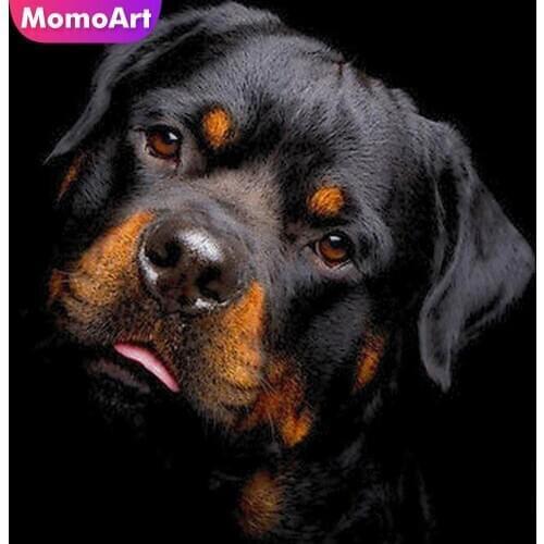 MomoArt 5D DIY Diamond Painting Rottweiler Full Square Diamond Embroidery Dog Mosaic Picture Of Rhinestone Gift
