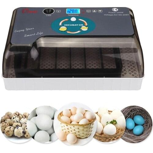 Best Egg Incubator Automatic Brooder Farm Chick Hatchery Machine Digital 4-35 Egg Incubator Hatcher for Goose Chicken Quail