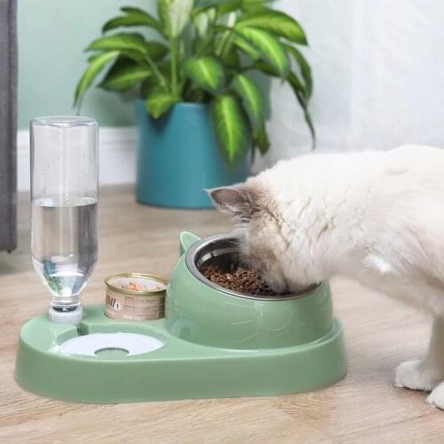 4 in 1 Cat Double Bowl Automatic Pet Food Feeder with Water Dispenser 15 Degrees Tilted Puppy Stainless Steel Drinking Fountain
