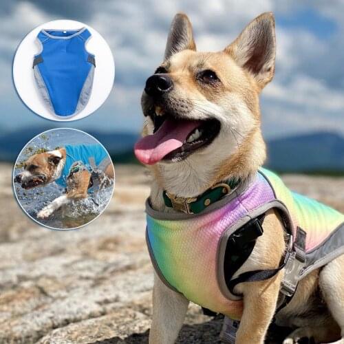 Outdoor Dog Jacket for Medium Large Dog Summer Puppy Clothes Rainbow Cooling Dog Vests for French Bulldog Chihuahua Dropshipping