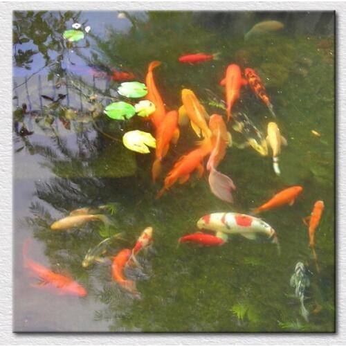 Free Shipping Modern Home Decoration Wall Art Chinese Fish Oil Painting Picture quality Canvas Prints