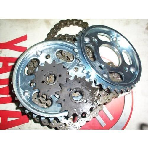 Qiantangjiang qj250-3 size chain plate chain ca250 general