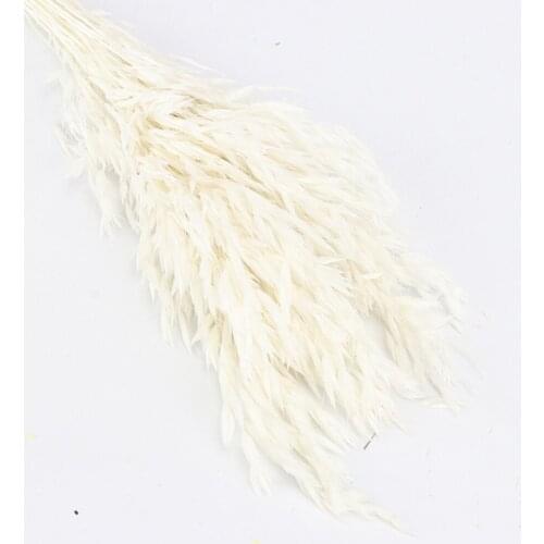 Natural Dried Fresh Flower Bundle Preserved Flower DIY Flower Wedding Decoration