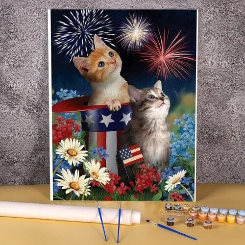 Fireworks DIY Paint By Numbers Set Acrylic Paints 40*50 Canvas Painting Decoration For Adults Wholesale For Drawing Art