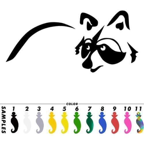 Small Raccoon Car Window Truck Bumper Fox Auto Motorcycle Laptop Sticker
