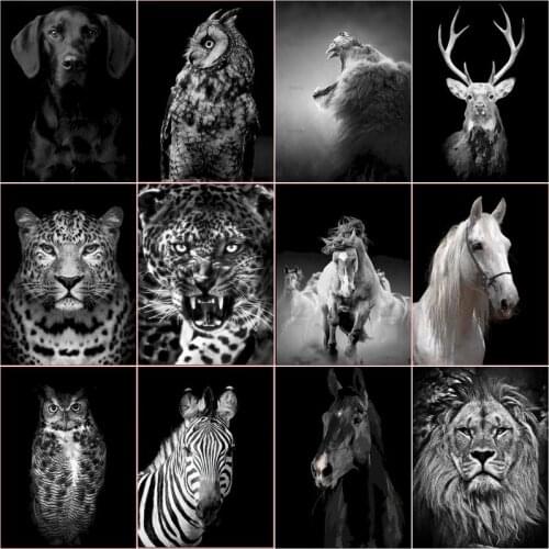 GATYZTORY Black And White Animal DIY Painting By Numbers HandPainted Oil Painting For Adults Kill Time Home Decor Accessories