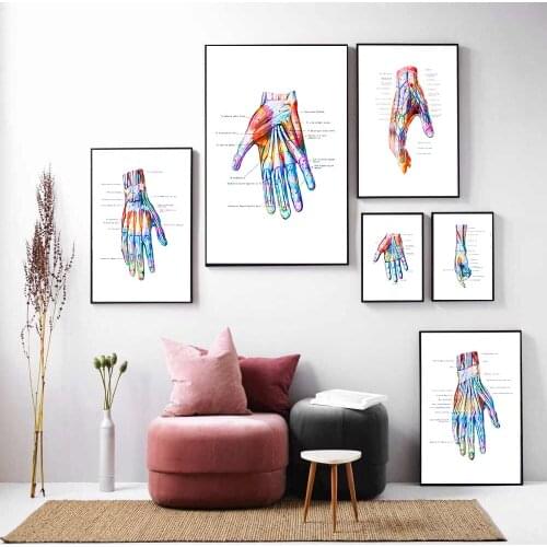 Hand Anatomy Artwork Medical Wall Picture Muscle Skeleton Vintage Poster Nordic Canvas Print Education Painting Modern Decor