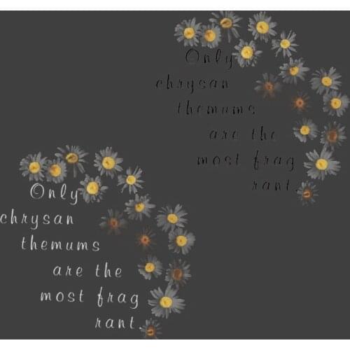 DIY Flowers Stickers Little Daisies Letter Patches For T-Shirt Heat Transfer Parches Girls Stickers Washable A-Level Patches