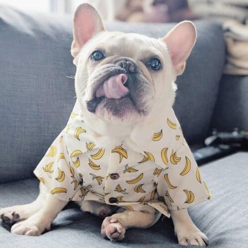 Printing Banana Pet Costume for Small Dogs Colling Fashion Summer Puppy Shirts for French Bulldog Yorkshire Cotton Pet Clothes