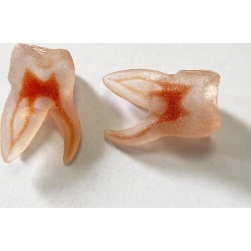 1Pis-4Pis Upper Molar B Teeth Pulp Model Red Root Canal Dental Blocks Endo Files Practise Student 3D Simulation Tooth Replicas