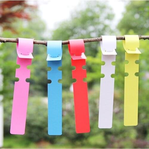100pcs/lot PVC Plastic Plant Marker Waterproof Plant Lableplant Markers For Garden Label Ring Buckle Plant Tag 21*2cm Reusable