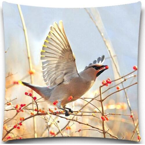 A bird is eating the red fruit 2D print creative Pillow case Square cotton polyester cushion cover 5 size 9 style