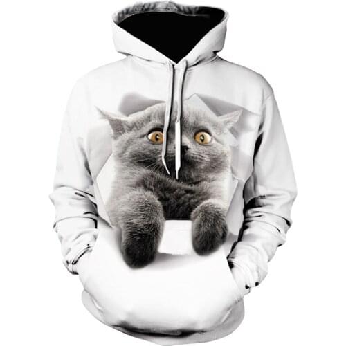 2021 fashion sweatshirts men women casual hoodies long-sleeve cartoon Animal lovely cat 3D Print hoodie off white kawaii clothes