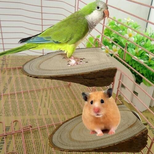 Pet Parrot Wood Platform Stand Rack Toy Hamster Branch Perches for Bird Cage