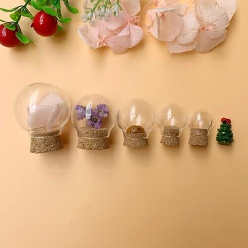 2PCS/lot Transparent Glass Ball With Cork DIY Handmade Dried Flower Ball Cover Landscape Ornaments