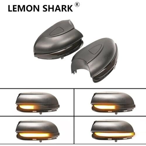 Dynamic Blinker Side Mirror Turn Signal Light Side Wing Rearview Mirror Indicator For VW GOLF MK6 GTI 6 R line VI R20 Touran