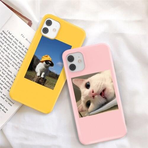 Candy Color Cute Animal Phone Case For iPhone 11 Pro Max 12 Mini XS Max XR 7 8 6S Plus SE2020 Cat Pattern Back Cover Fundas