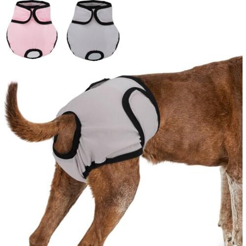 Reusable Dog Diaper Pant Physiological Pants Washable Female Girl Dogs Shorts Pants Absorbent Pets Underwear Sanitary Panties
