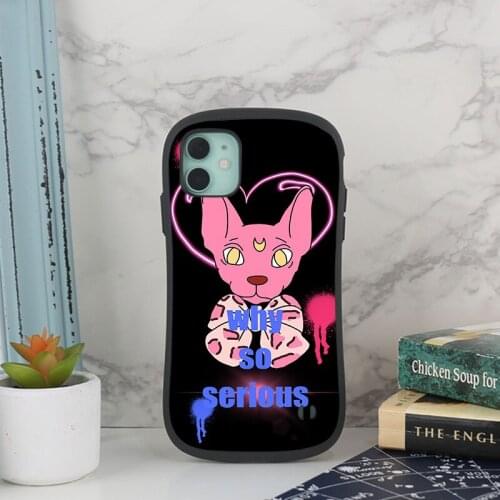 For iphone 12 Anti falling silicone protective case 11 Pro max 6s 7 8plus Frosting feel xr x xsmax Cool Cat for 12 mini