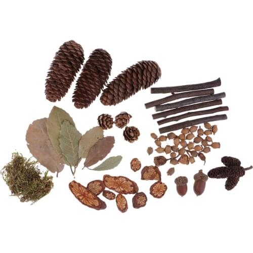 Rustic Natural Dried Flowers Pine Cones Table Ornaments Creative Decorations