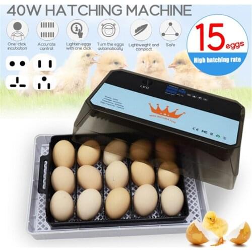 15 Egg Incubator Household Upgrade Automatic Incubator Mini Brooder Machine Chicken Incubation Equipment Portable Kids Gift