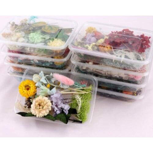 DIY Dried Flowers Resin Mold Fillings Dried Flowers UV Expoxy Flower Nail Art Pressed Real Flowers for Handcraft Home Decoration