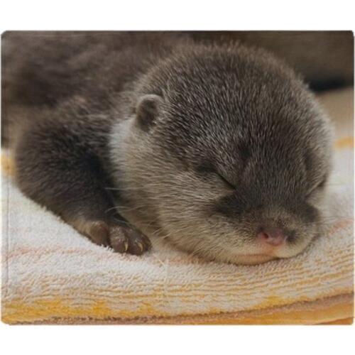 Sleeping Otter Soft Fleece Throw Blanket Soft Flannel Blanket to on for the sofa/Bed/Car Portable Plaids