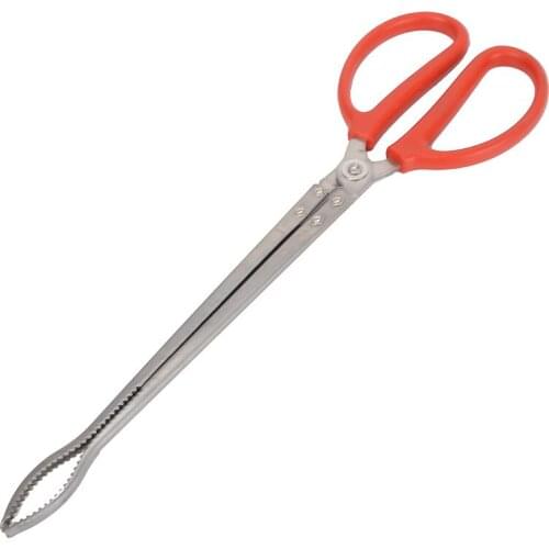 Moray eel with crab pincers, moray eel pincers, fish control device, loach crab, lobster pincers, eel pincers artifact