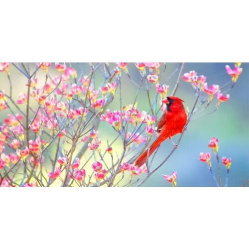 Купальники больших размеров HUOSOOYUN China At AliExpress