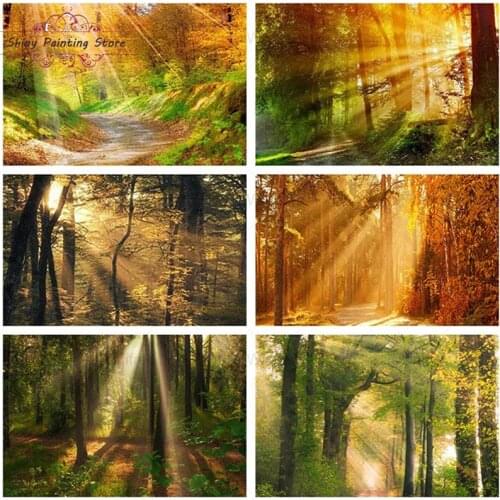 Full Drill 5D DIY Diamond Painting Forest Scenery Sunlight Through Tree Landscape Diamond Embroidery Handicraft Home Decoration