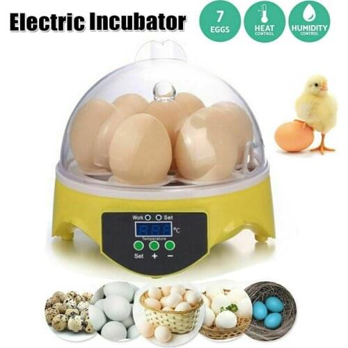 ZK20 Mini Digital 7 Eggs Incubator Automatic Temperature Brooder Chicken Duck Egg Hatcher 110 220V Farm Poultry Hatchery Machine