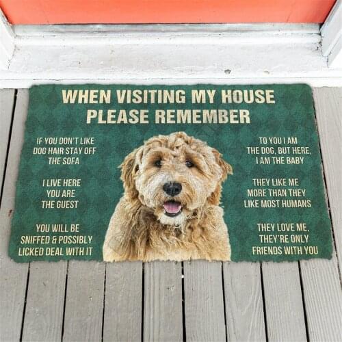 Printed 3D Please Remember Goldendoodle Dogd House Doormat Non Slip Door Floor Mats Decor Porch Doormat 02