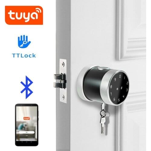 TTLock Or Tuya APP Remote Control Fingerprint Lock Password Code IC Card Single Latch Lock