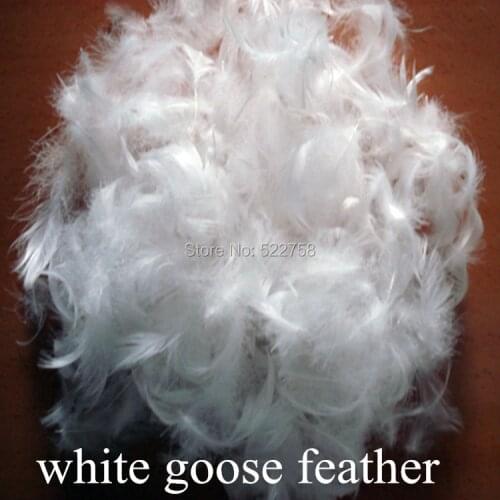 White goose feather 2-4cm/washing degree 1000/ no smell/ couch bolster Mattress pillow filler / 1 lb price