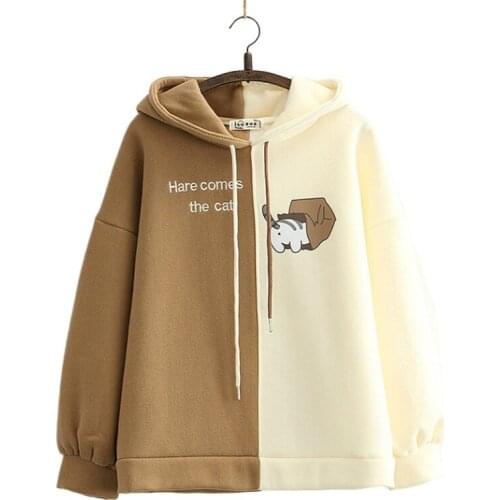 Fleece Women Hooded Sweatshirt Harajuku Cartoon Print And Letter Embroidery Casual Hoodies 2021 Winter Full Sleeve Warm Top