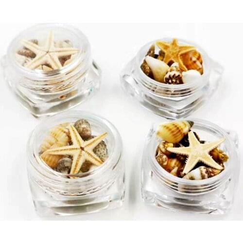 Small Natural Beach Seashell Starfish Nautical Decor Jewelry Glass DIY Fillers Nail Art Resin Fillings Jewelry Making