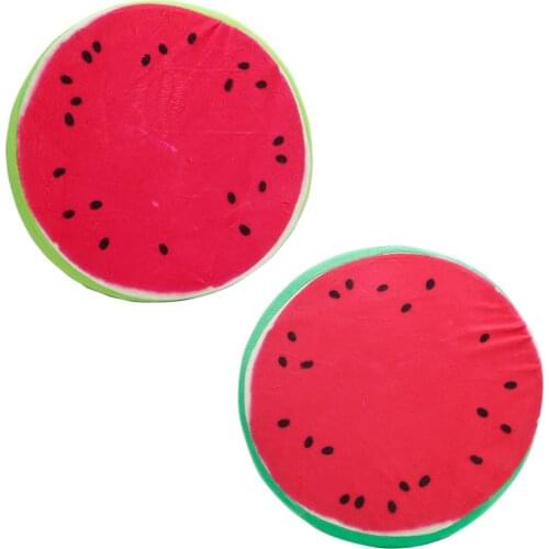 3D Fruit Office Chair Back Cushion Sofa Throw Pillow Cushion Pet